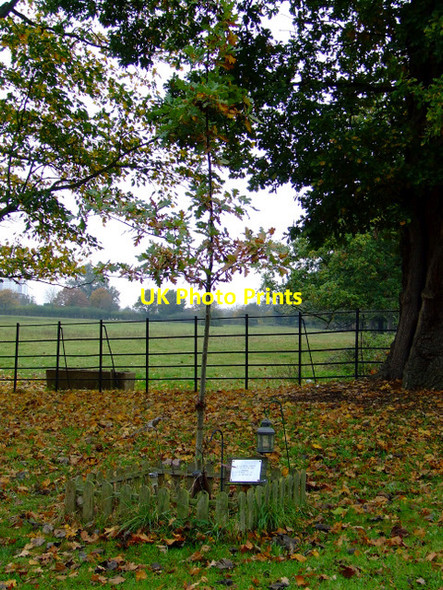 Photo 6"x4" Osterley Park Southall c2011