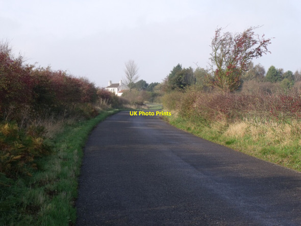 Photo 6"x4" Country Lane, off A158, near Hagworthingham Hagworthingham c2011