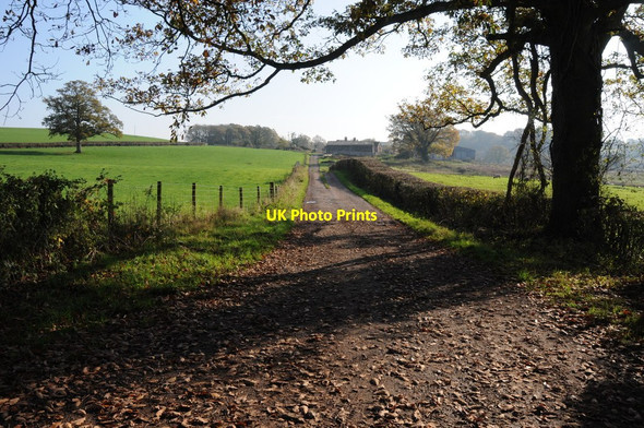 Photo 6"x4" Driveway to Llwyn-crwn Penrhos\/SO4111 c2011