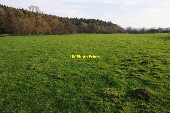 Photo 6"x4" The Trothy valley Dingestow c2011