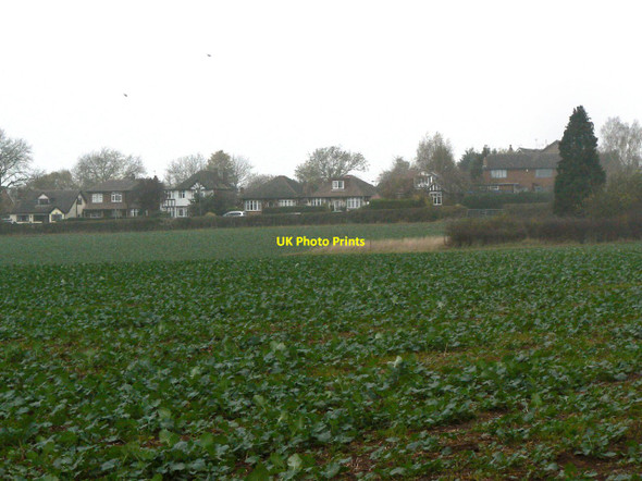 Photo 6"x4" The edge of Tollerton Tollerton\/SK6034 c2011