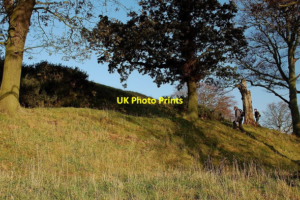 Photo 6"x4" Southern side of the hill fort above Barney Mains Camptoun c2011