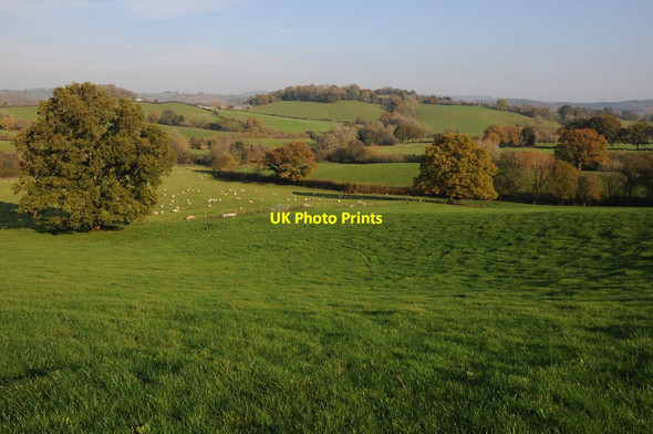 Photo 6"x4" Farmland near Pen-yr-Heol Llanvihangel-Ystern-Llewern c2011