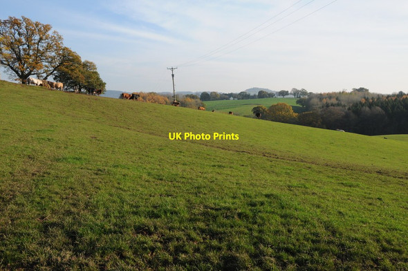 Photo 6"x4" Farmland at Lower Hendre Worthybrook c2011
