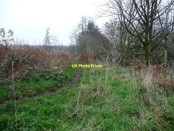 Photo 6"x4" Path through the woods, from Swang Lane Suffield\/SE9890 c2011