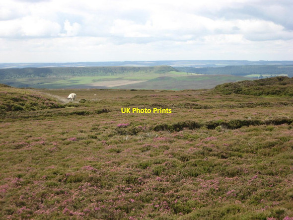 Photo 6"x4" Rudland Rigg summit Church Houses c2011