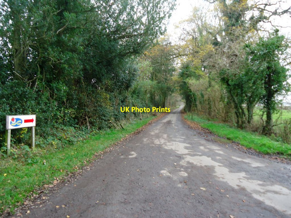 Photo 6"x4" Briarlands, Lime Avenue Blair Drummond c2011