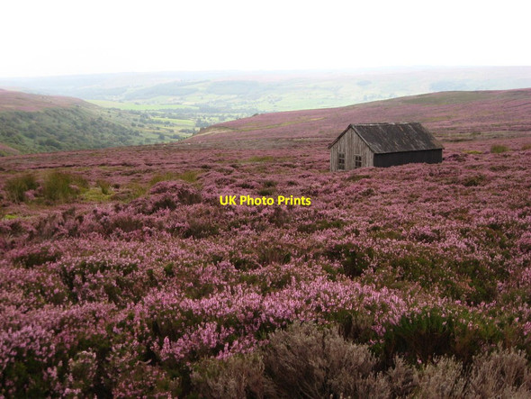 Photo 6"x4" Slape Wath Moor The Grange\/SE5796 c2011