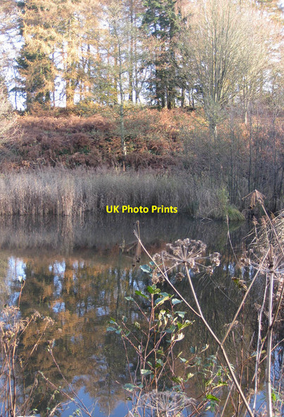 Photo 6"x4" Lake near Atkinson's Bog Coneysthorpe c2011