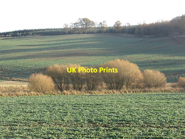 Photo 6"x4" Near Oxnam Oxnam c2011