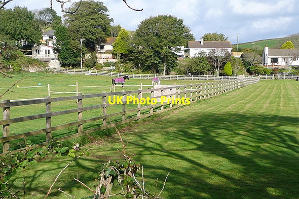 Photo 6"x4" Paddocks at Coombe Camborne c2011