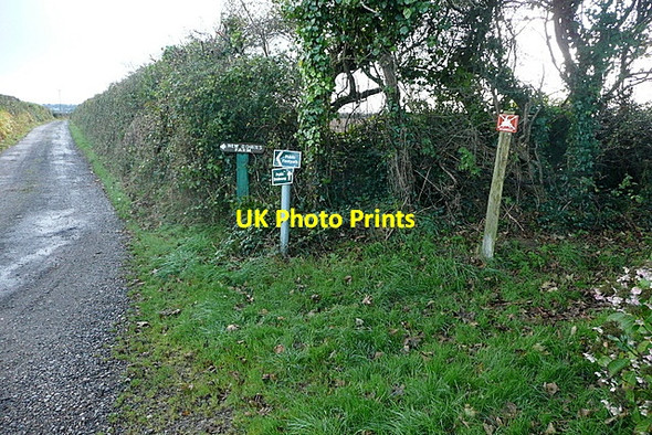 Photo 6"x4" Track to New Downs Farm Camborne c2011