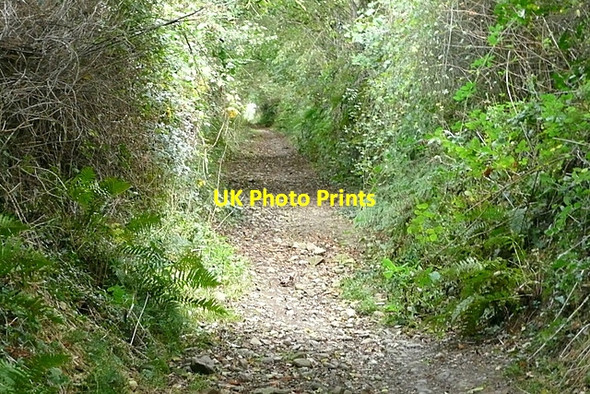 Photo 6"x4" Bridleway from Roseworthy Barton Carnhell Green c2011