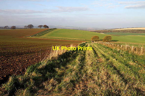 Photo 6"x4" Farmland near Chesters Farm Carfrae\/NT5769 c2011