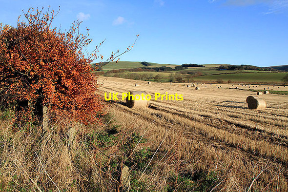 Photo 6"x4" Farmland near Wiselawmill Addinston c2011
