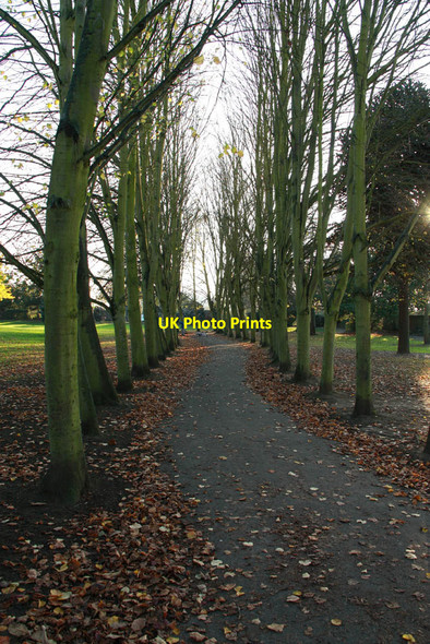 Photo 6"x4" Cedars Park Cheshunt c2011