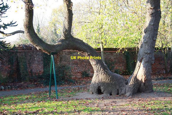 Photo 6"x4" Cedars Park, Waltham Cross Cheshunt c2011