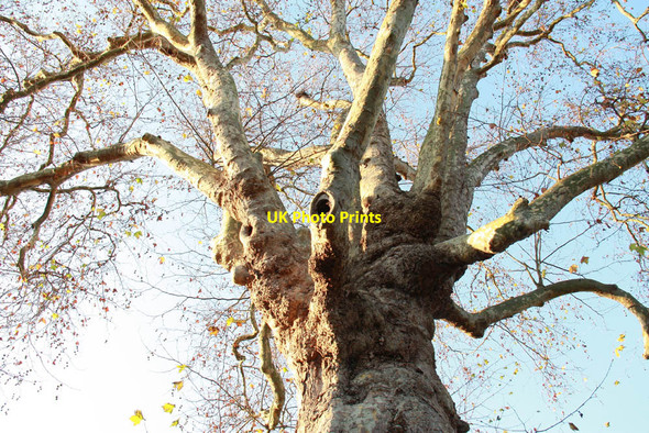 Photo 6"x4" Cedars Park, Waltham Cross Cheshunt c2011