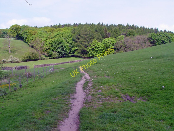 Photo 6"x4" Path to Westy Bank Wood Bolton Abbey c2008