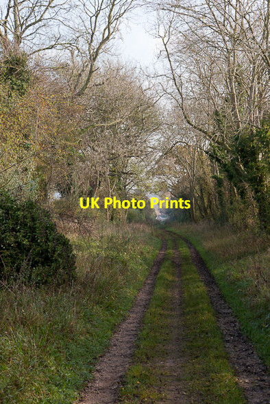 Photo 6"x4" Stevens Drove approaching Houghton Bossington\/SU3331 c2011
