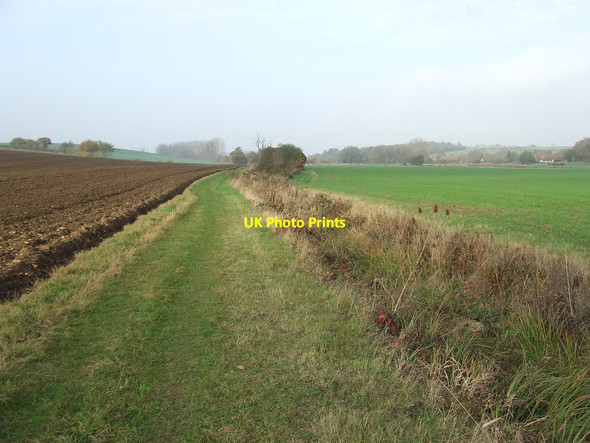 Photo 6"x4" Stour Valley Path Liston Garden c2011