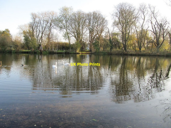 Photo 6"x4" The Thames in November North Stoke\/SU6186 c2011
