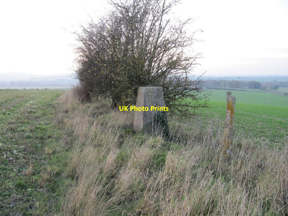 Photo 6"x4" White Hill Triangulation Pillar South Stoke\/SU5983 c2011