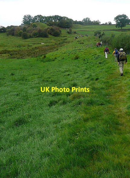 Photo 6"x4" Ascending the south side of Commondale Castleton\/NZ6808 c2011