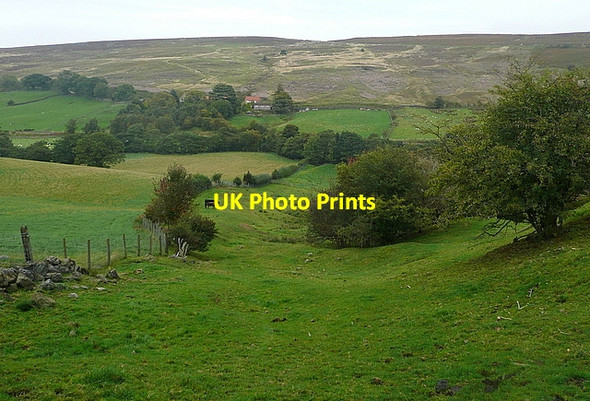 Photo 6"x4" View into Commondale Castleton\/NZ6808 c2011