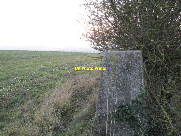 Photo 6"x4" Lough Down direction South Stoke\/SU5983 c2011