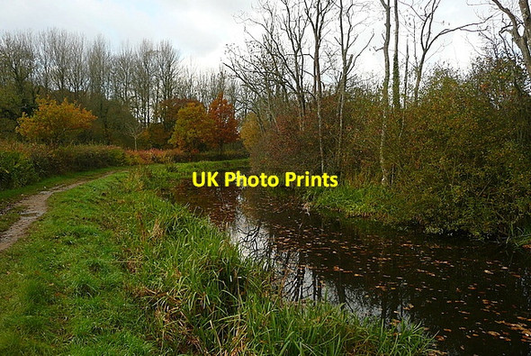 Photo 6"x4" Wey and Arun Canal Loxwood c2010