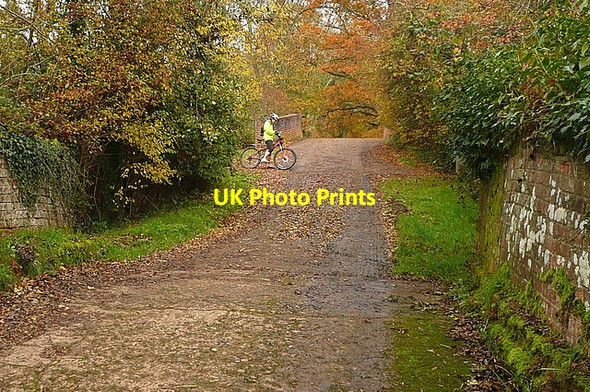 Photo 6"x4" Brewhurst Lane Loxwood c2010