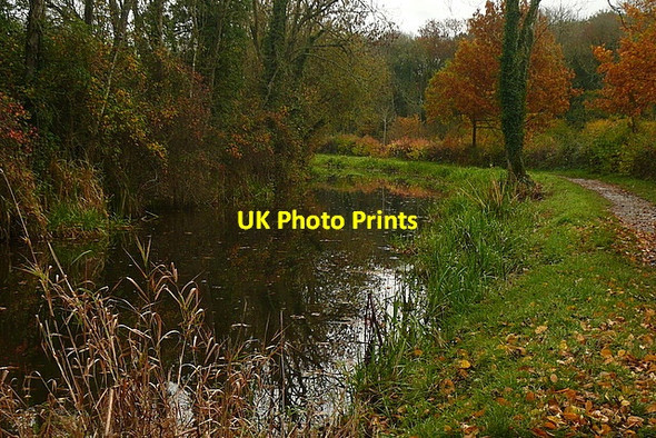 Photo 6"x4" Wey and Arun Canal Loxwood c2010