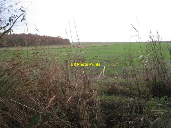 Photo 6"x4" Agricultural land at the edge of Crowle Moor Windsor\/SE7612 c2011