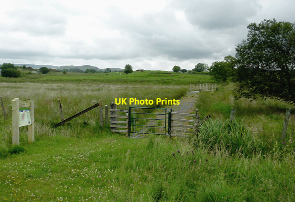 Photo 6"x4" New bridleway to Pontrhydfendigaid, Ceredigion Swyddffynnon c2011
