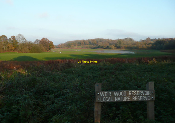 Photo 6"x4" Weir Wood Reservoir Nature Reserve Charlwood\/TQ3934 c2011