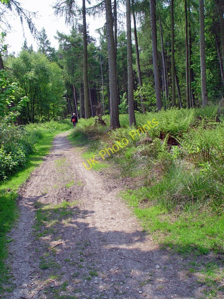 Photo 6"x4" West Bank Wood Bolton Bridge c2008