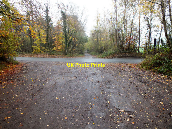 Photo 6"x4" Crossing the road Bulbridge c2011