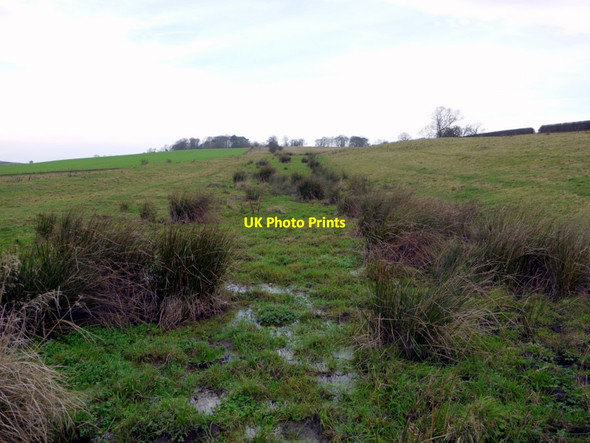 Photo 6"x4" Boggy vallum ditch east of Rudchester Houghton\/NZ1266 c2011