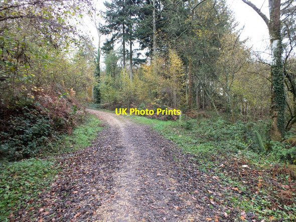 Photo 6"x4" Round the corner Wigbeth c2011