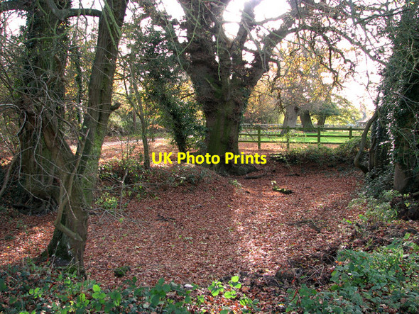 Photo 6"x4" Dry pond south of Foxburrow House, Melton Woodbridge\/TM2649 c2011