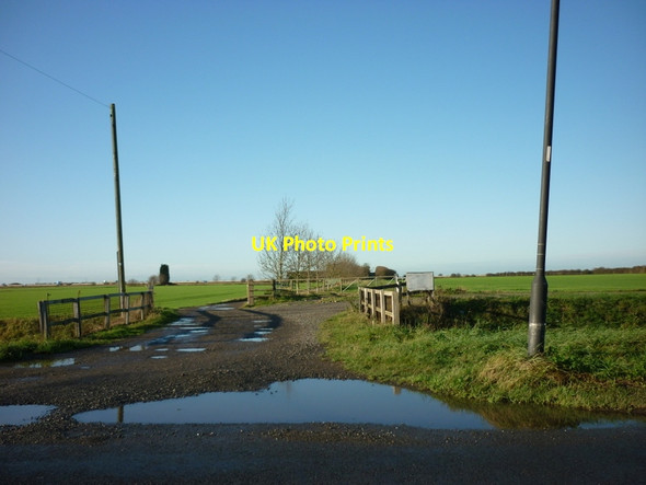 Photo 6"x4" A track leading to Bloody Hall Moorends c2011