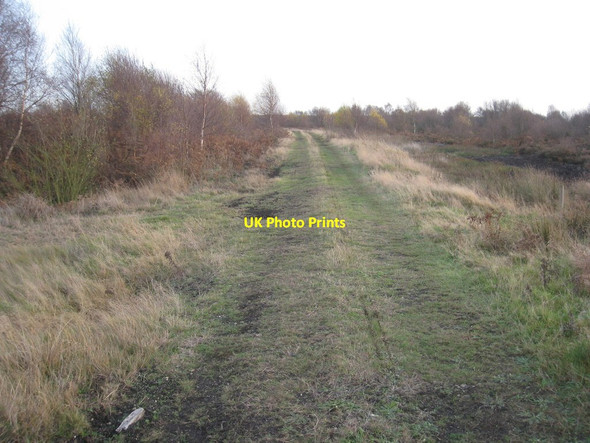 Photo 6"x4" Former route of  narrow gauge railway Moorends c2011
