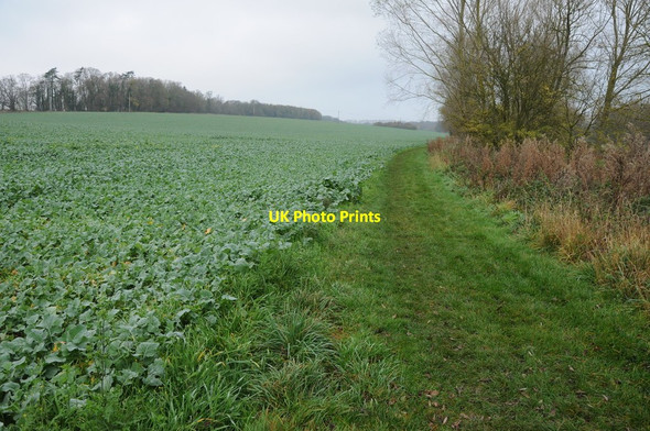Photo 6"x4" Permissive footpath, Fairford Fairford c2011