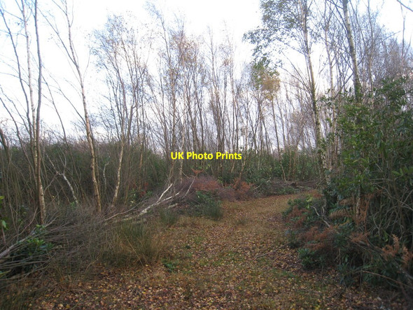 Photo 6"x4" Bend in the track Moorends c2011