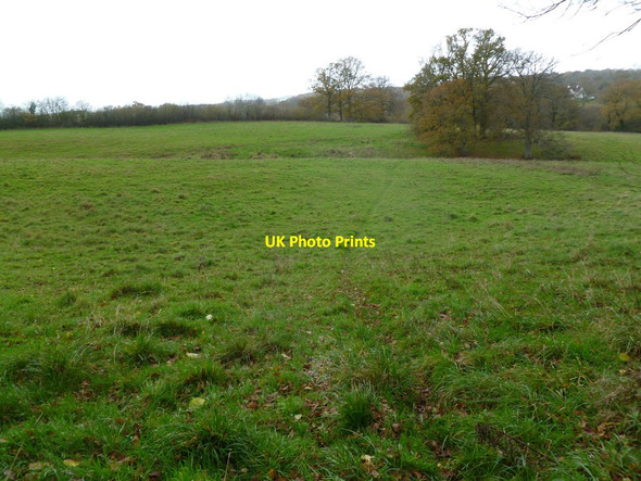 Photo 6"x4" Edmondsham, footpath Edmondsham c2011