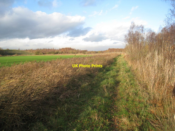 Photo 6"x4" The edge of the Humberhead Peatlands National Nature Reserve Moorends c2011