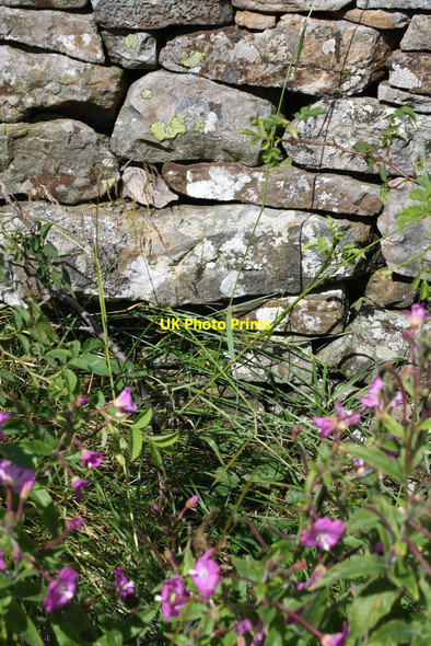 Photo 6"x4" Benchmark on Crag Side Road wall Countersett c2011