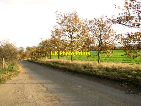 Photo 6"x4" Rural lane, Ellough Ellough c2011