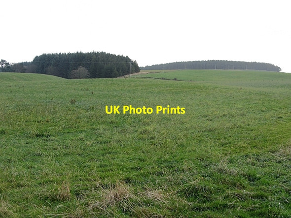 Photo 6"x4" Grassland, Drum Kilncadzow c2011